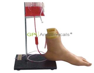 GPI/H3018下肢足部靜脈注射仿真模型