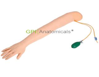 GPI/1026青少年靜脈注射操作手臂模型