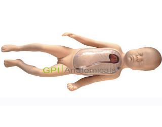 GPI/L69D高級新生兒外周中心靜脈插管模型