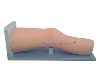 GPI/L72高級電子膝關節腔內注射模型