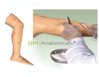 GPI/LV2高級外科縫合下肢模型