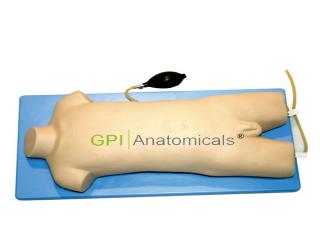 GPI/L462兒童股靜脈與股動脈穿刺訓練模型