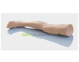 GPI/W2004高級下肢切開縫合訓練仿真模型