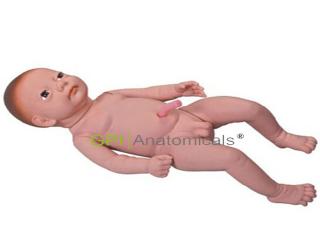 GPI/FT2（重3200g)高級出生嬰兒附臍帶模型(男嬰、女嬰任選)