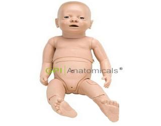 P30嬰兒護理模型，新生兒