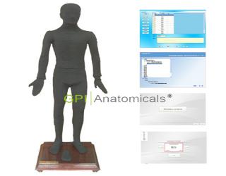 內蒙古GPI/MAW170B多媒體人體點穴儀考試系統