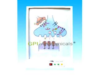 GPI/A18228神經系統的化學通路電動模型