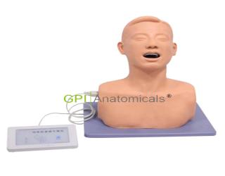 GPI/1006-3A咽喉檢查操作模型