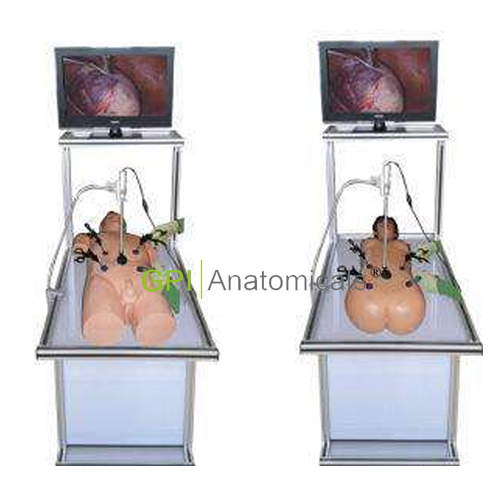 GPI/II高仿真腹腔鏡手術技能訓練人體模型