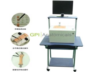 湖南GPI/LV1002腹腔镜模拟训练器