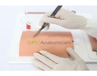 GPI/1061多技能外科操作組合模型