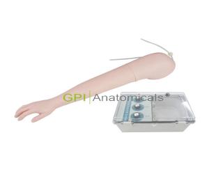 GPI/HS27高級靜脈注射手臂模型（帶電動循環輸液血泵）