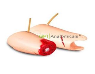 GPI/G105-1控制出血大腿模型