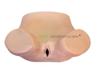 GPI/1044宮內節育器放置取出術操作模型