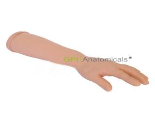 GPI/1090手指受傷處理操作模型
