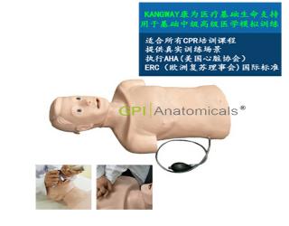 GPI/CPRJ158-A高級心肺復蘇帶氣管插管半身模型-青年版簡易型