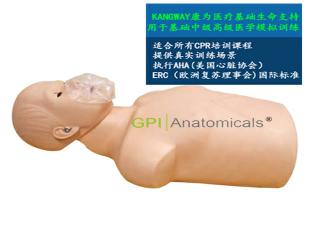 GPI/2001青年半身心肺復蘇模型