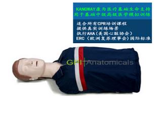 GPI/CPR190半身心肺復蘇訓練模擬人（簡易型）