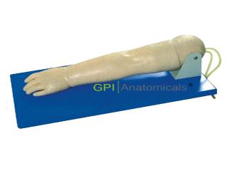 GPI/S32高級小兒靜脈穿刺手部模型