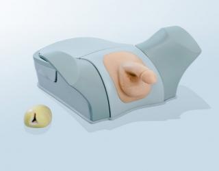 “康為醫療”前列腺電切（生物仿真材料）模擬訓練系統