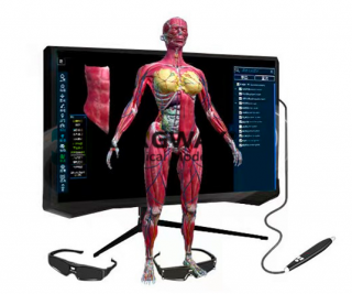 VR 虛擬現實智慧教室解決方案，VR - Human 3D虛擬人體解剖教學系統
